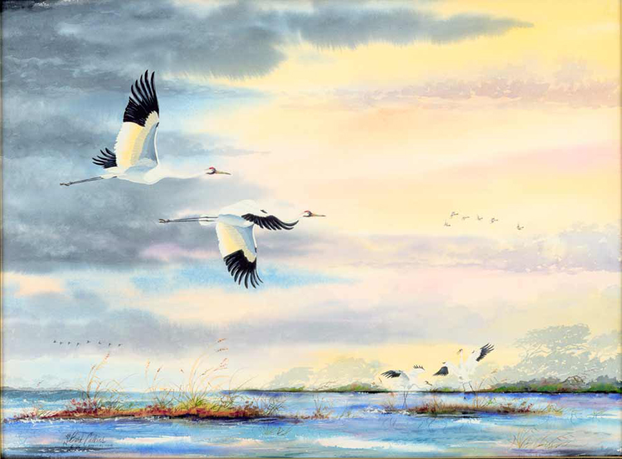 Whooping Crane Art