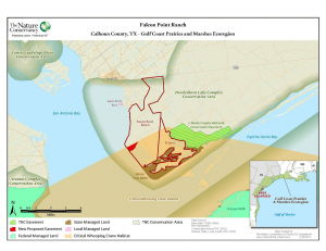 Whooping crane habitat Falcon Point Ranch, Texas
