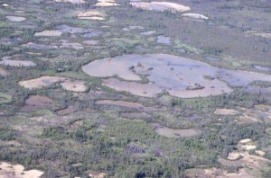 Wood Buffalo whooping crane habitat, Canada.